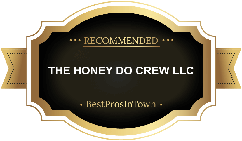Best Pros in Town Badge